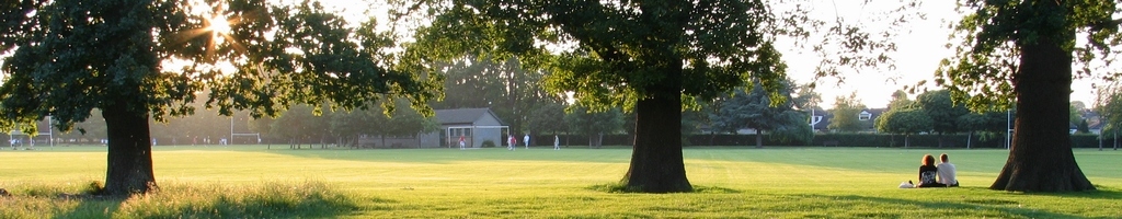 Couple in Bushy Park