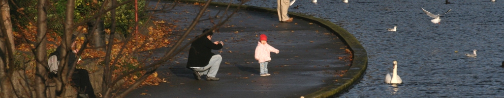 Feeding the ducks in Bushy Park